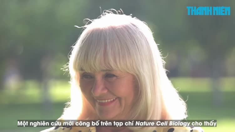 Tóc bạc: phản ứng tự nhiên giúp cơ thể ngăn ngừa ung thư