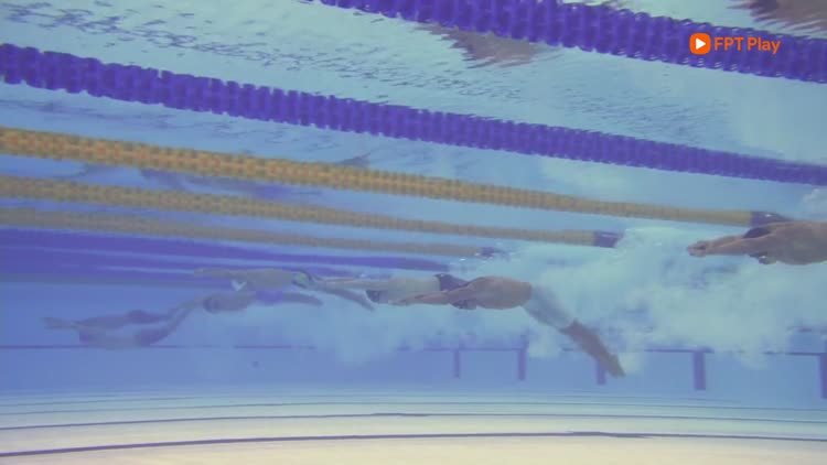 Highlight bơi lội ngày 14.12: HCV của 'hoàng tử ếch' Phạm Thanh Bảo