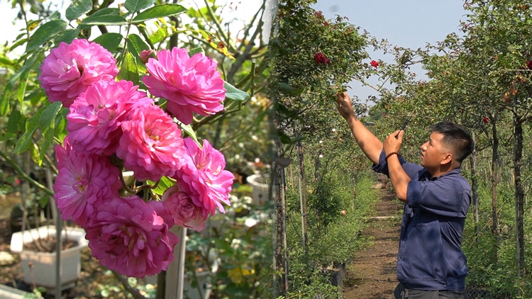 Chàng nông dân 9X kiếm bộn tiền nhờ tận dụng mạng xã hội quảng bá hoa hồng
