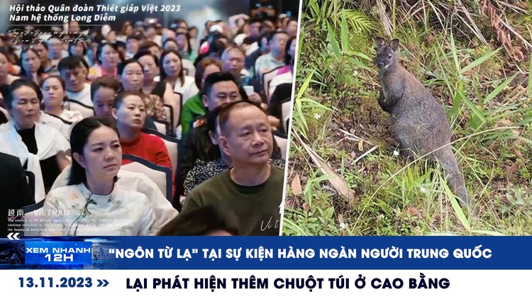 Xem nhanh 12h: Lại phát hiện thêm chuột túi ở Cao Bằng | ‘Ngôn từ lạ’ tại sự kiện hàng ngàn người Trung Quốc ở Hạ Long