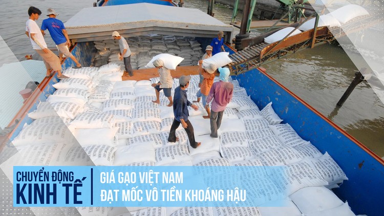 Giá gạo Việt Nam đạt mốc 'vô tiền khoáng hậu'