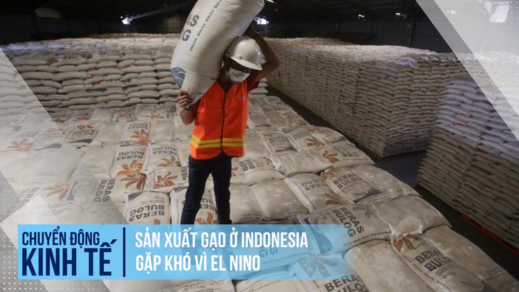Sản xuất gạo ở Indonesia gặp khó vì El Nino