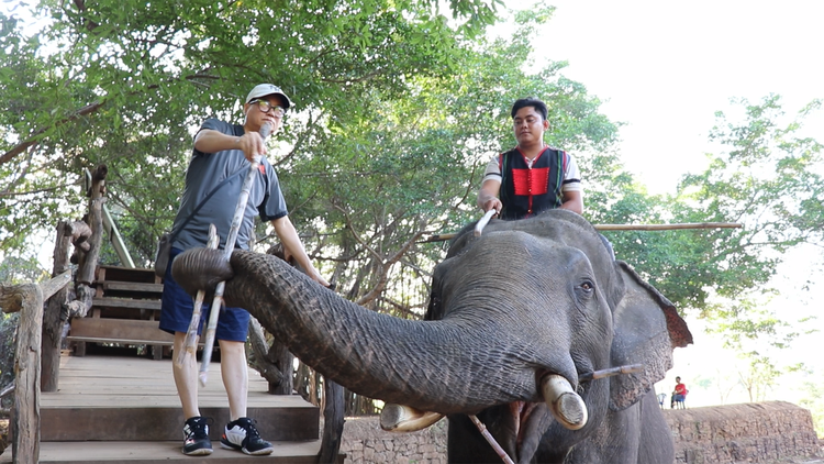 Chính thức dừng dịch vụ cưỡi voi ở Đắk Lắk: khách du lịch, nài voi nói gì?