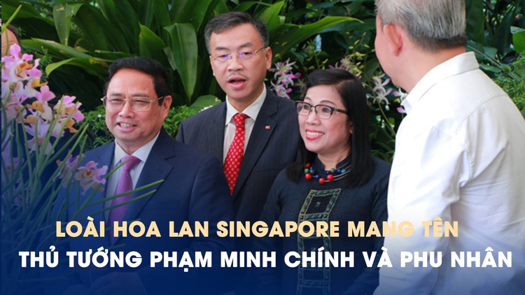 Loài hoa lan Singapore mang tên Thủ tướng Phạm Minh Chính và phu nhân