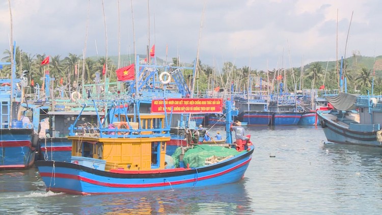 Ngư dân thị xã Hoài Nhơn kỳ vọng khai thác 70.000 tấn hải sản trong năm 2023