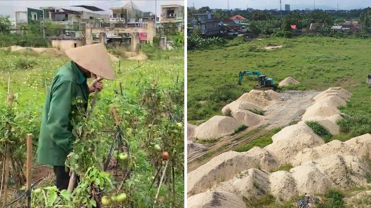 Sân vận động tại khu đất vàng bị bỏ hoang thành nơi vứt rác, trồng cây, chứa cát