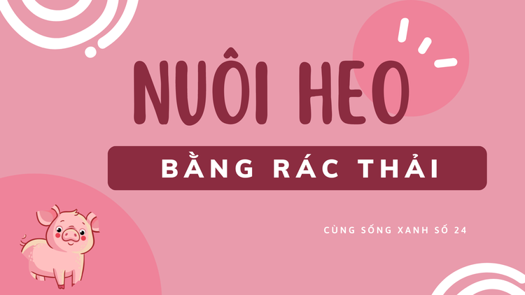 Cùng sống xanh số 24: Thoát khỏi dịch tả lợn châu Phi nhờ nuôi heo bằng rác thải