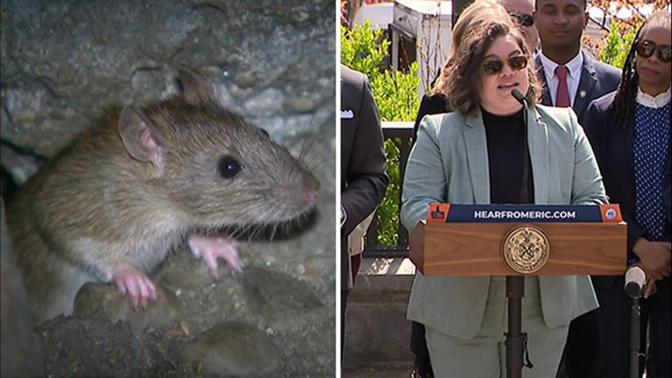 Vì sao New York cần 'sếp diệt chuột'?