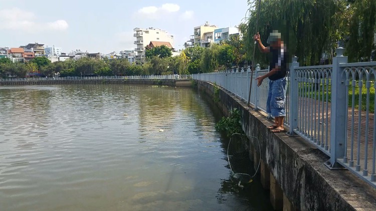 Nạn tận diệt cá trên kênh Nhiêu Lộc - Thị Nghè: ‘Đá chọi ao bèo’