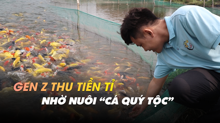 Khám phá trang trại cá quý tộc: chạy xe máy cho cá ăn, dùng 'thần chú' độc lạ