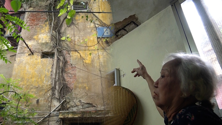 Hoảng hồn khu tập thể ọp ẹp ở Hà Nội: trần nhà nứt vỡ, cây mọc lên tường
