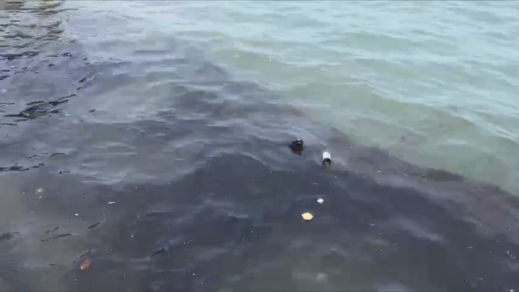 Truy tìm nguồn gốc dầu FO tràn vào bờ biển Vũng Tàu