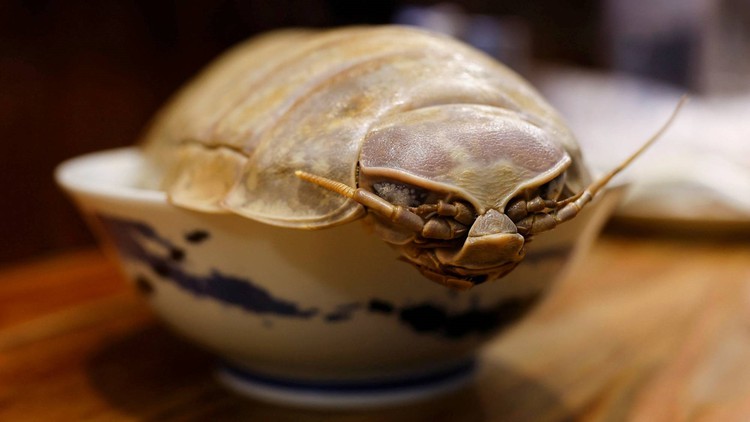Món mì bọ biển thu hút thực khách Đài Loan, chuyên gia cảnh báo gì?