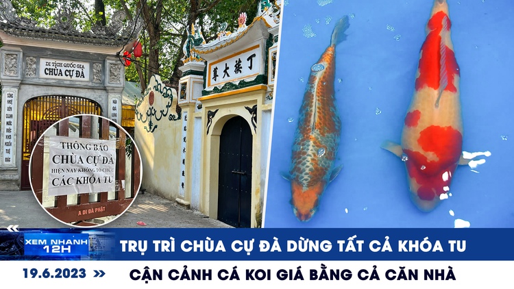 Xem nhanh 12h: Trụ trì chùa Cự Đà dừng tất cả khóa tu | Cận cảnh cá Koi giá bằng cả căn nhà