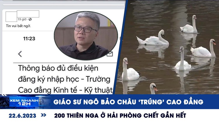 Xem nhanh 12h: Giáo sư Ngô Bảo Châu ‘trúng tuyển’ cao đẳng | 200 con thiên nga sông Tam Bạc sắp biến mất