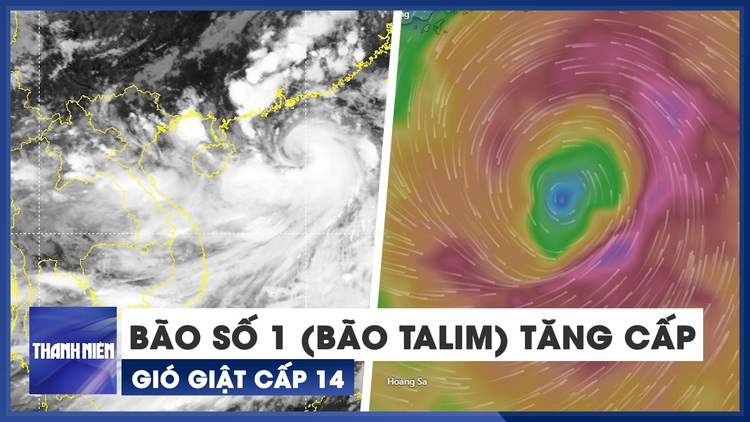 Khẩn cấp: Bão số 1 (bão Talim) tăng cấp, dự báo sẽ gây mưa rất lớn