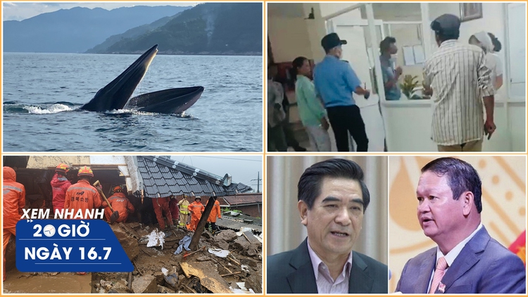 Xem nhanh 20h ngày 16.7: Thực hư vụ cắt nhầm buồng trứng bệnh nhân | Cá voi xuất hiện ở biển Phú Yên