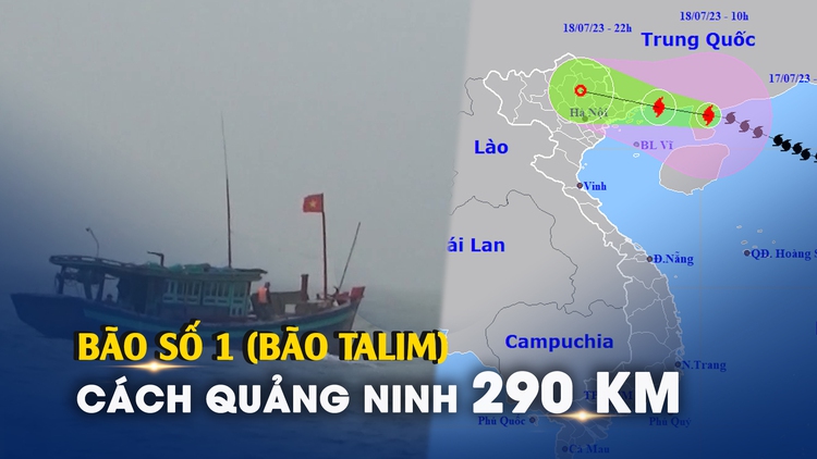 lich bong da phap - Bão số 1 (bão Talim) chỉ còn cách Móng Cái 290 km