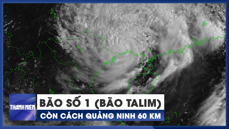 KHẨN CẤP: Bão số 1 (bão Talim) áp sát biên giới Việt Nam - Trung Quốc, gió giật cấp 11