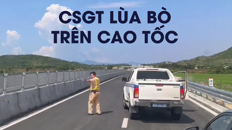 Bi hài CSGT phải lùa bò trên cao tốc Vĩnh Hảo - Phan Thiết mới tinh