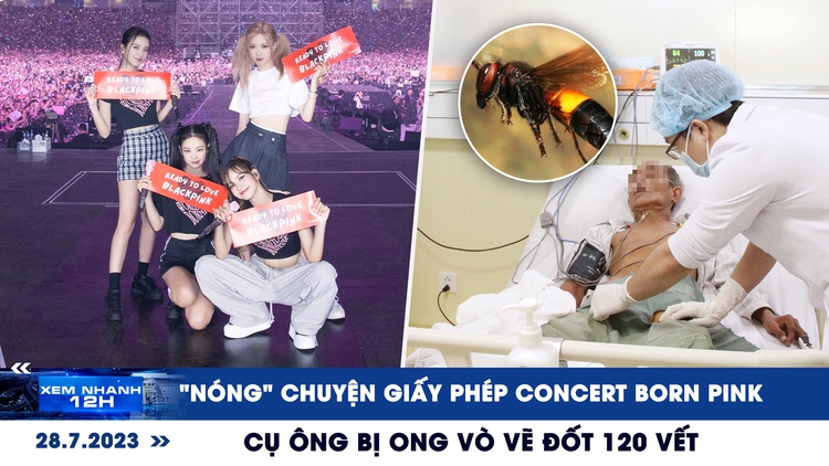 Xem nhanh 12h: Lại ‘nóng’ chuyện đêm diễn của BlackPink | Cụ ông bị ong vò vẽ đốt 120 vết