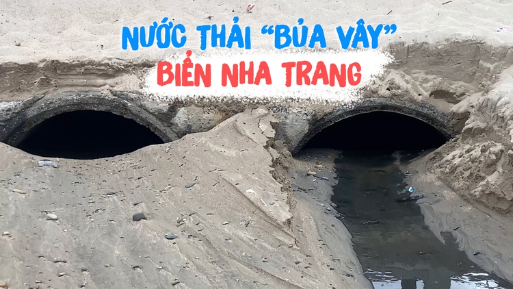 Kinh hãi cảnh nước thải ‘bủa vây’ biển Nha Trang, đe dọa rạn san hô Hòn Chồng
