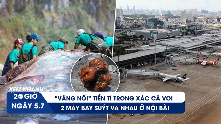 Xem nhanh 20h ngày 5.7: 2 máy bay suýt va nhau ở Nội Bài | Tìm thấy long diên hương trong xác cá voi