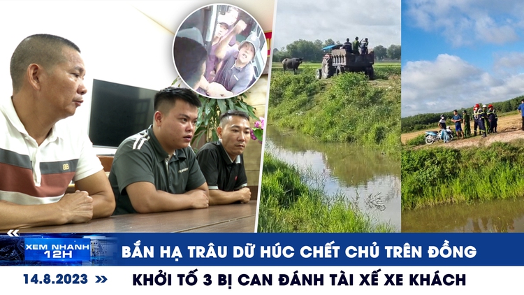 Xem nhanh 12h: Bắn hạ trâu dữ húc chết chủ trên đồng | Khởi tố 3 bị can đánh tài xế xe khách