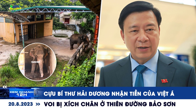 Xem nhanh 12h: Cựu Bí thư Hải Dương nhận tiền của Việt Á | Voi bị xích chân ở Thiên Đường Bảo Sơn