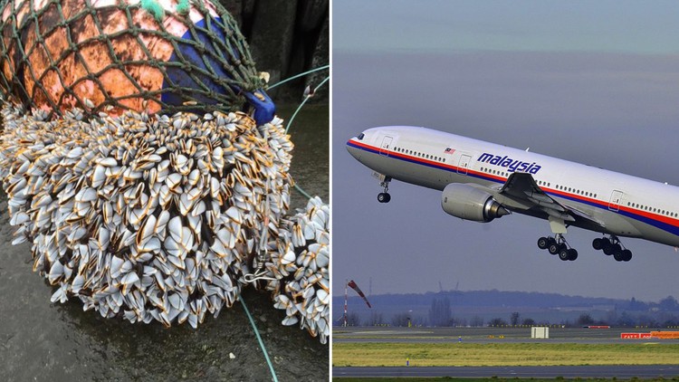 Manh mối tìm xác máy bay MH370 mất tích nhờ phương pháp mới