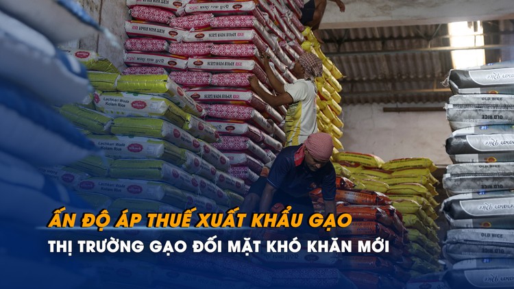Thị trường gạo đối mặt khó khăn mới vì Ấn Độ áp thuế xuất khẩu gạo