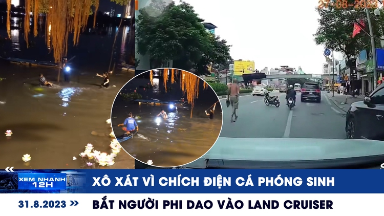 Xem nhanh 12h: Xô xát vì chích điện cá phóng sinh | Bắt người phi dao vào Land Cruiser