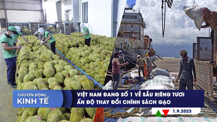 CHUYỂN ĐỘNG KINH TẾ ngày 1.9: Việt Nam đang số 1 về sầu riêng tươi | Ấn Độ thay đổi chính sách gạo