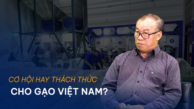 Vấn đề và Giải pháp: Cơ hội hay thách thức cho gạo Việt Nam?