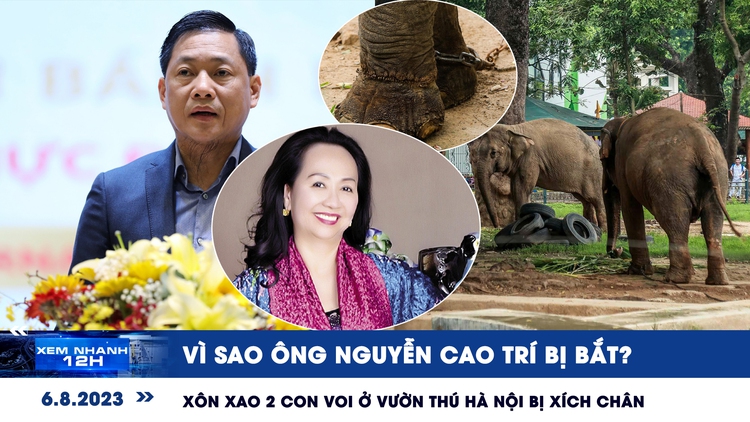 Xem nhanh 12h ngày 6.8: Vì sao ông Nguyễn Cao Trí bị bắt | Xôn xao 2 con voi ở vườn thú Hà Nội bị xích chân