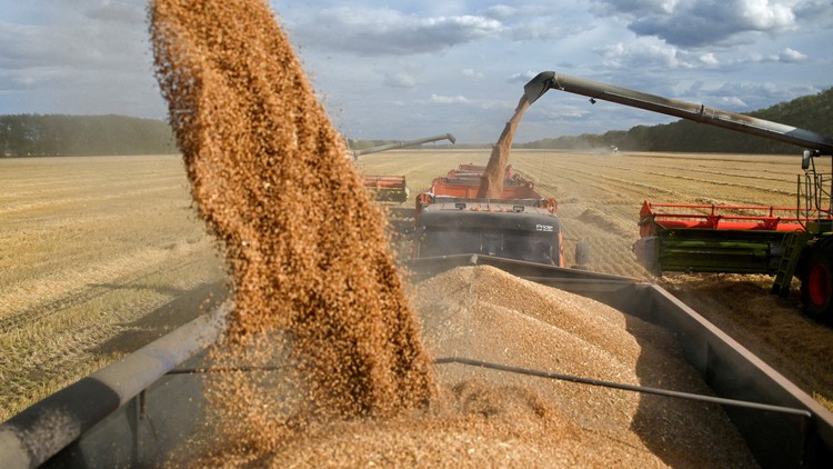 Nga muốn tăng xuất khẩu ngũ cốc cũng không dễ