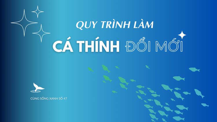 Cùng sống xanh số 47: Đường biến miếng cá thính bé xíu ăn 3 bát cơm thành đặc sản trên bàn tiệc