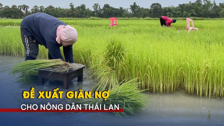 Đề xuất giãn nợ cho nông dân Thái Lan