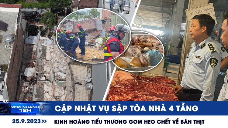 Xem nhanh 12h: Kinh hoàng tiểu thương gom heo chết về bán thịt | Cập nhật vụ sập tòa nhà 4 tầng