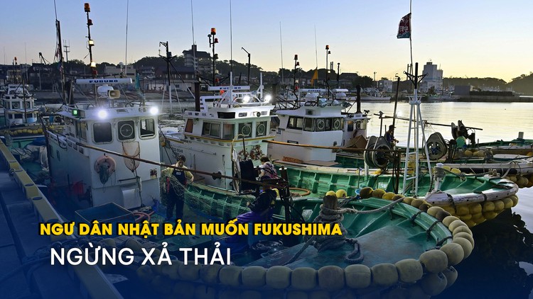 Ngư dân Nhật Bản muốn Fukushima ngừng xả thải