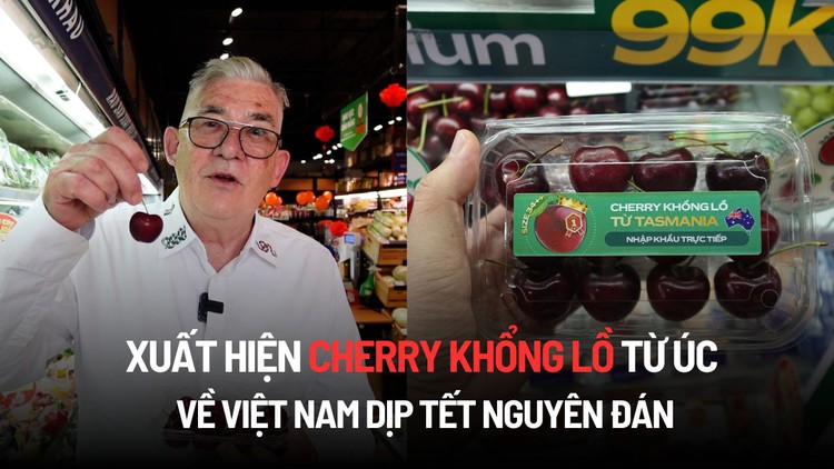 Xuất hiện cherry khổng lồ từ Úc về Việt Nam dịp Tết Nguyên đán