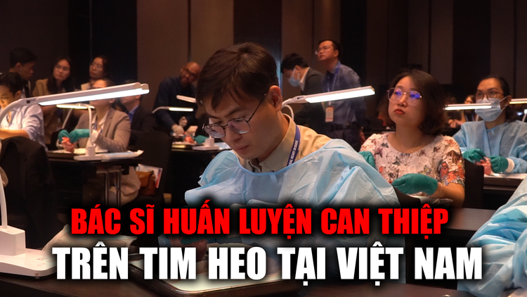 Có gì đặc biệt trong lần đầu tiên huấn luyện can thiệp tim mạch trên tim heo?