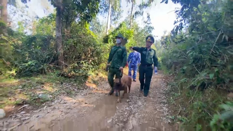 Cận cảnh chó nghiệp vụ 'tác nghiệp' trong vụ phát hiện 287 kg nghi ma túy