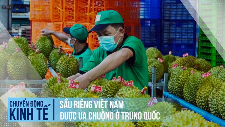 Sầu riêng Việt Nam được ưa chuộng ở Trung Quốc