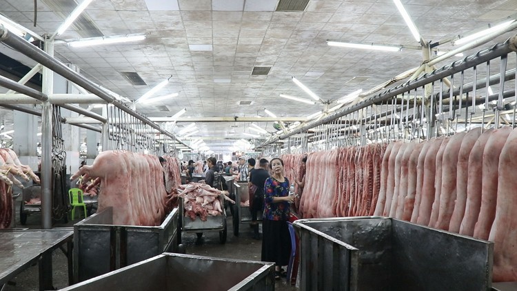 Bên trong chợ thịt heo lớn nhất TP.HCM: thịt heo được đeo vòng nhận diện, quét mã truy xuất nguồn gốc
