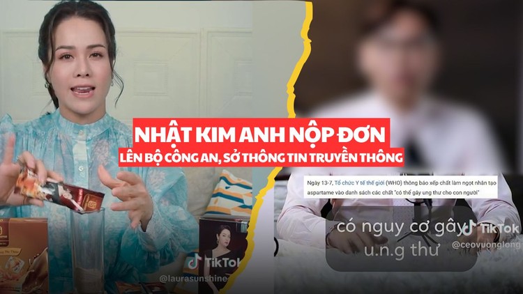 Nhật Kim Anh nộp đơn lên Bộ Công an, Sở Thông tin Truyền thông tố giác hai tài khoản TikTok