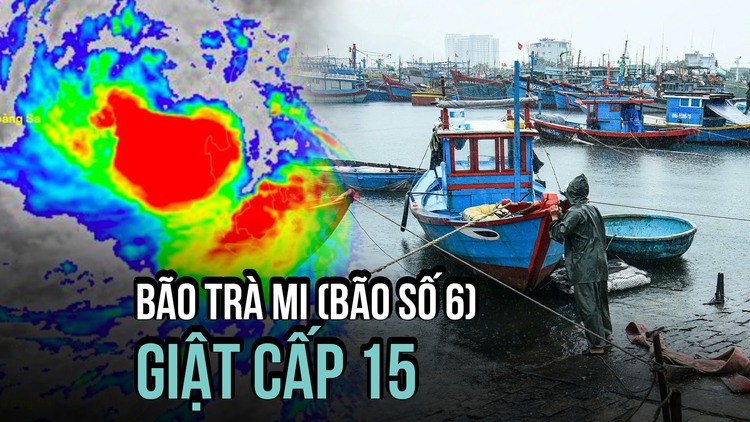 Bão Trà Mi (bão số 6) tăng cấp, cách Đà Nẵng 440 km