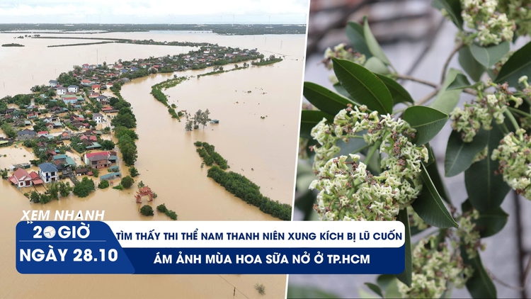 Xem nhanh 20h ngày 28.10: 1 người tử vong khi giúp dân dọn dẹp sau bão Trà Mi | Ám ảnh mùi hoa sữa ở TP.HCM