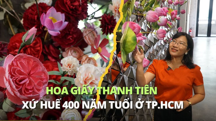 Mê mẩn ngắm hoa giấy Thanh Tiên xứ Huế 400 năm tuổi ở TP.HCM