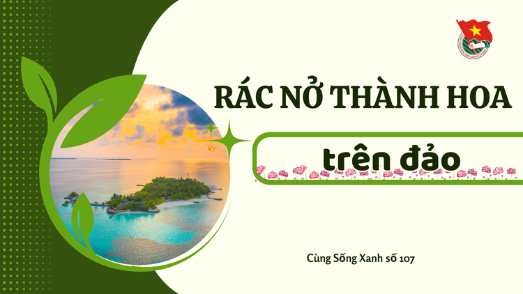 Cùng sống xanh số 107: Khi cán bộ môi trường Kiên Giang biến rác trên đảo nở thành hoa